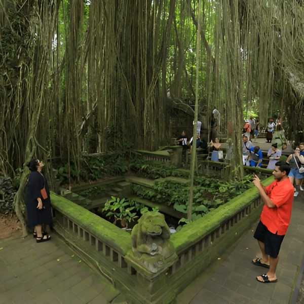 Sacred Monkey Forest