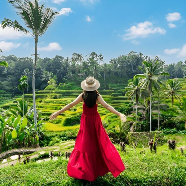 Tegallalang Rice Terrace